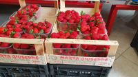 frische Erdbeeren aus der Basilikata
