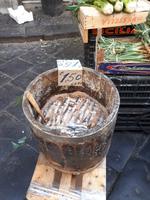 gesalzene Fische