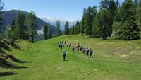 grüne Ski Piste