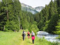 idyllisches Rabbi-Tal oder Val di Rabbi