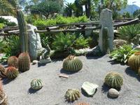 im Kakteenpark