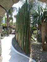 im Kakteenpark
