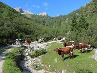 im Pragsertal