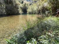 im Tal des Anapo