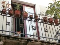 in Riposto