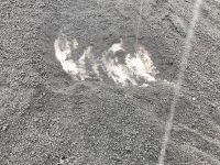 letzte Schneereste