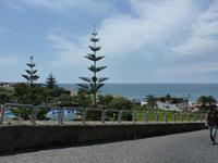san Francesco