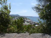 san Francesco