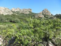 sardisches Bergland