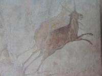 springende Tiere 