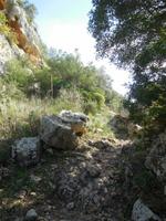 steiniger Weg