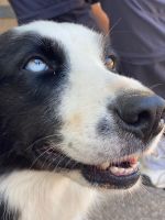 unser Gastgeber