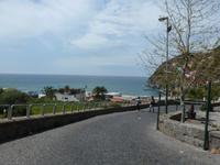 von san francesco 
