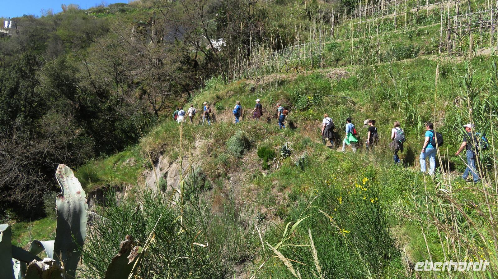 wandern wir mal ...