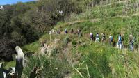 wandern wir mal ...