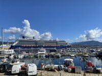 zurück am Hafen