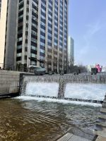 Cheonggyecheon-Bach