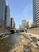 Cheonggyecheon-Bach