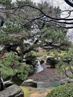 Fukuoka - Japanischer Garten