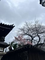 Schrein Tempel Fukuoka