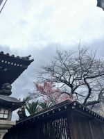 Schrein Tempel Fukuoka