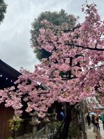 Schrein Tempel Fukuoka
