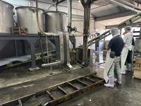 Sakeverkostung in Sakebrauerei