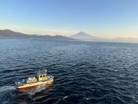 an Bord der Norwegian Sun - Fuji in Sicht
