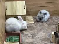 Osaka - Einkaufszentrum im Hafen