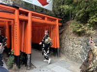 Tempel der tausend Tori