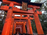 Tempel der tausend Tori