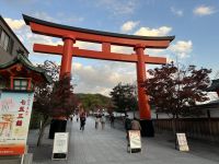 Tempel der tausend Tori