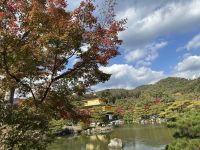 Ausflug nach Kyoto - Goldener Tempel