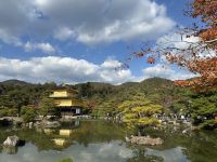 Ausflug nach Kyoto - Goldener Tempel