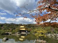 Ausflug nach Kyoto - Goldener Tempel