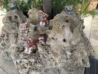 Ryukyu Folkloremuseum