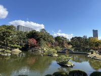 Hiroshima - Shukkeien Garten