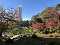 Hiroshima - Shukkeien Garten