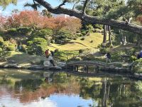 Hiroshima - Shukkeien Garten
