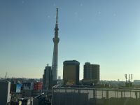 Blick von der Hotelterrasse - Abschied von Tokyo