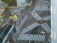 Blick von der Hotelterrasse - Abschied von Tokyo