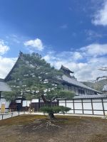 Kinkaku-ji-Tempel