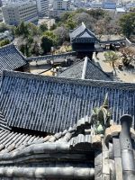 Kochi Castle