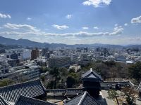 Kochi Castle