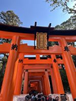 Kyoto Schrein