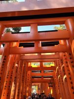 Kyoto Schrein