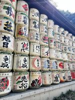 Tokio Meji Schrein