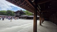 024 – Tokio, Meiji-Schrein