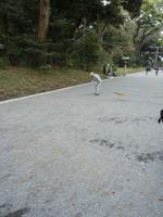Meji-Schrein - der Wald wird gefegt