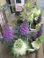 Kamakura - Impressionen